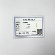 Flat Screw Back Drop Earrings For Women